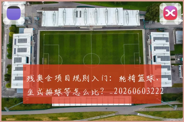 残奥会项目规则入门:轮椅篮球、坐式排球等怎么比?_20260603222626
