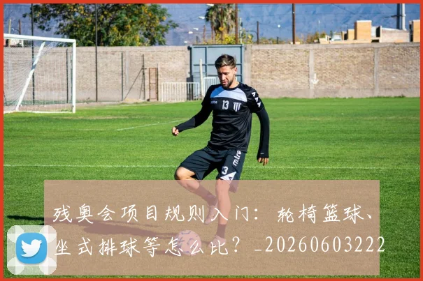 残奥会项目规则入门:轮椅篮球、坐式排球等怎么比?_20260603222626